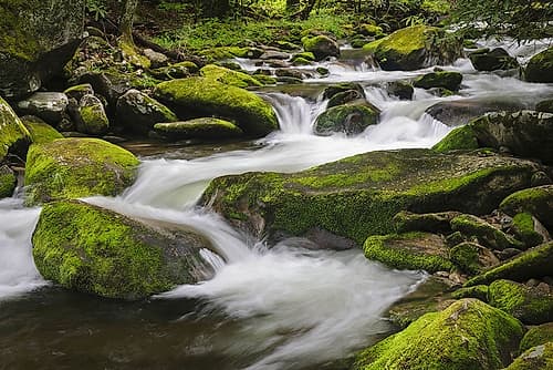 Cascading mountain stream-Great Smoky Mountains National Park-Tennessee-North Carolina Art Print